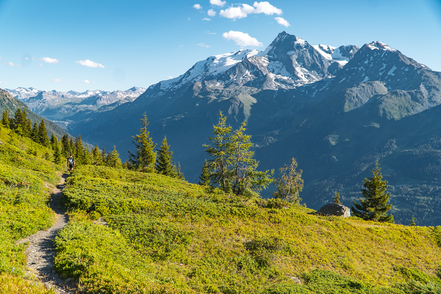 L'ÉTÉ À LA ROSIÈRE